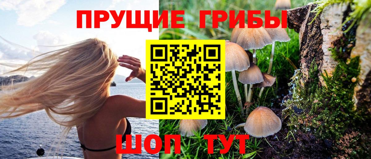 Новосибирск  купить наркотики цена  Псилоцибиновые грибы Magic Shrooms  Вход с VPN  Псилоцибиновые грибы Psilocybine cubensis 
